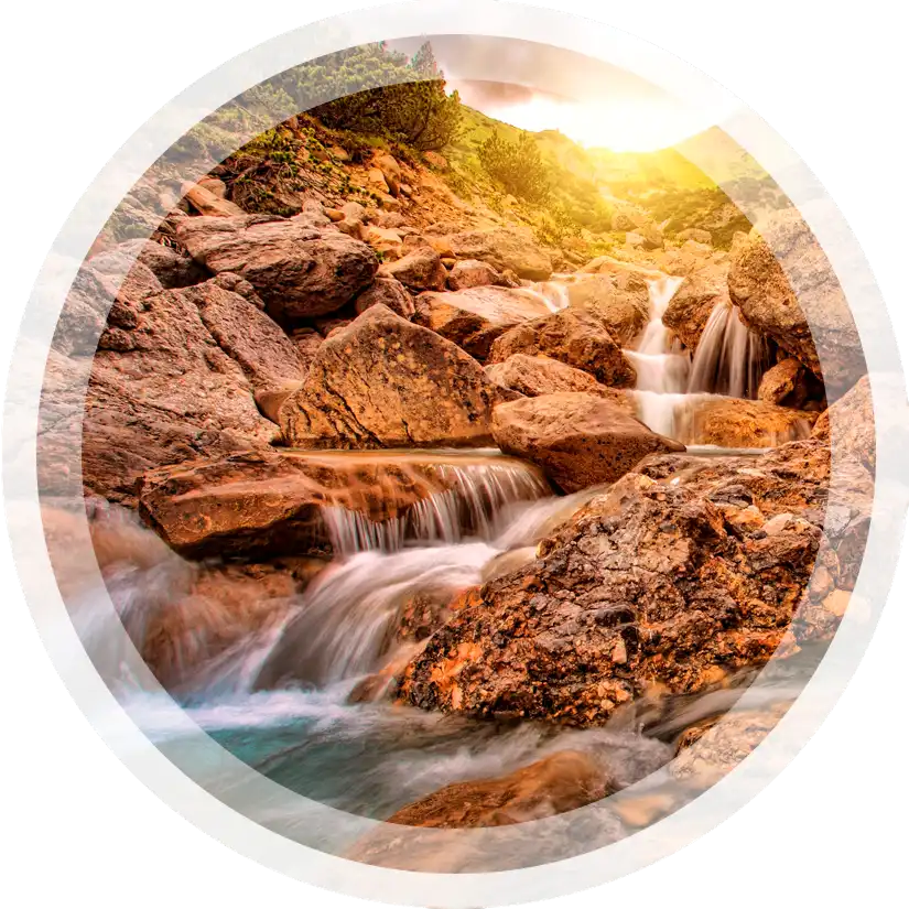 En Delta Water Treatment, transformamos el agua con soluciones innovadoras y sostenibles para un futuro más limpio. Inspirados en la naturaleza, desarrollamos tecnologías avanzadas que optimizan cada gota, garantizando eficiencia y respeto por el medio ambiente.